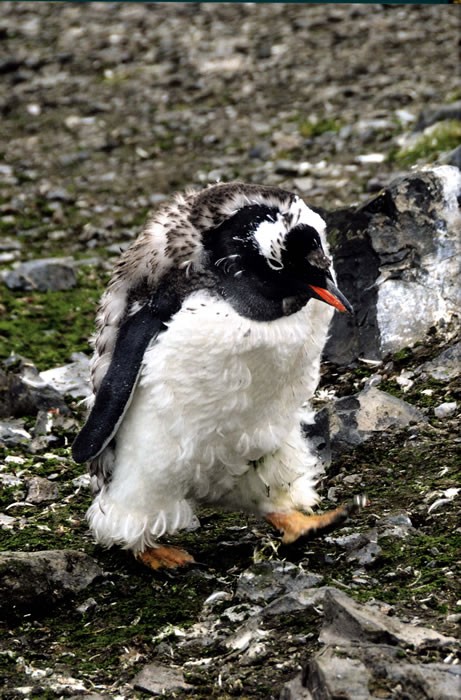 Ostrovy našich snů